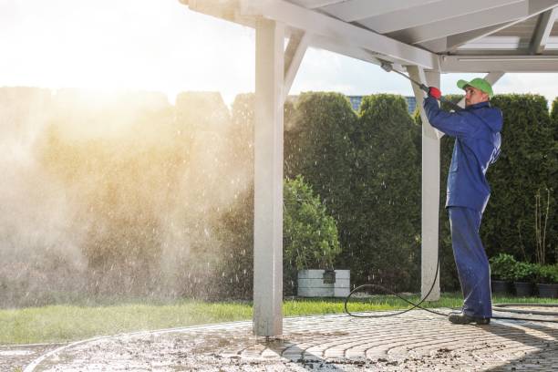 Best Fence Cleaning  in Cayce, SC